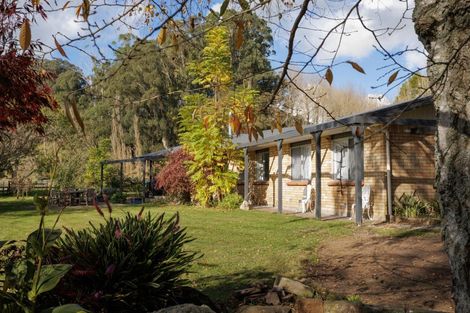 Photo of property in 213 Horahora Road, Piarere, Tirau, 3484