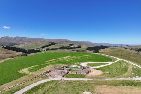 Photo of property in 189 Pringles Road, Green Valley, Palmerston, 9483