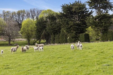 Photo of property in 309 Gladstone Road North, East Taieri, Mosgiel, 9092