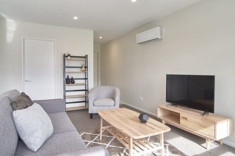 Photo of property in Riverena Flats, 377 Barbadoes Street, Christchurch Central, Christchurch, 8011