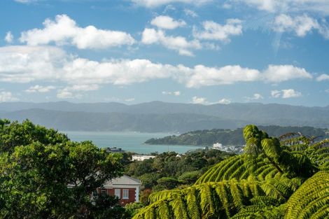 Photo of property in 113 Creswick Terrace, Northland, Wellington, 6012