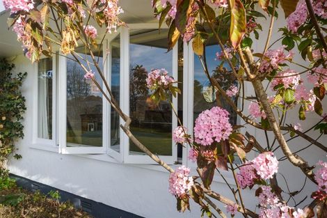 Photo of property in 35 Wanganui Road, Marton, 4710