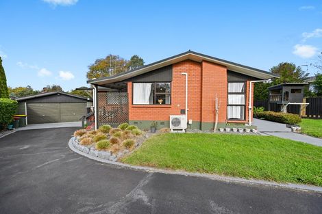 Photo of property in 8 Lorraine Place, Glenview, Hamilton, 3206