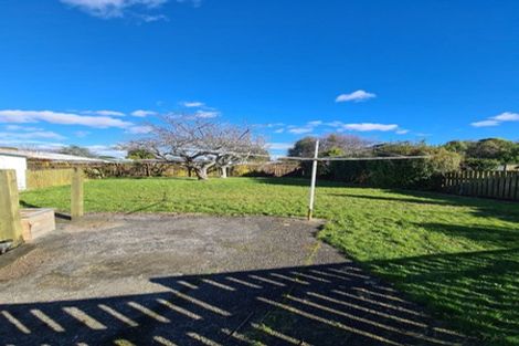 Photo of property in 45 Graham Street, Levin, 5510