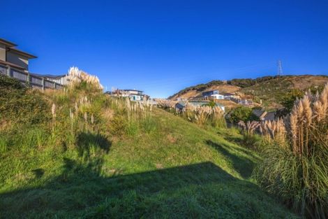 Photo of property in 17 Semaphore Lane, Whitby, Porirua, 5024