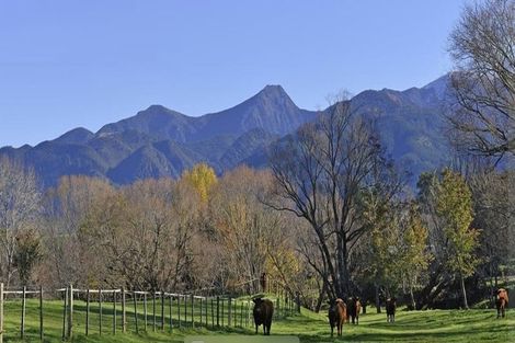 Photo of property in 1305 Motueka Valley Highway, Ngatimoti, Motueka, 7196