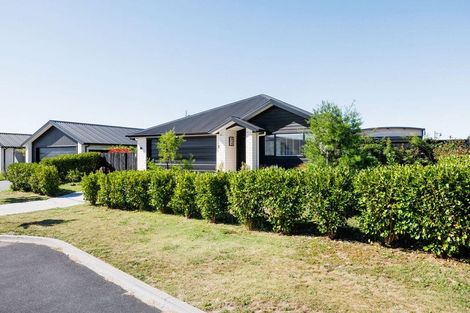 Photo of property in 12 Ruru Street, Cambridge, 3434