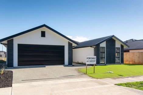 Photo of property in 38 Oakdale Grove, Richmond, 7020