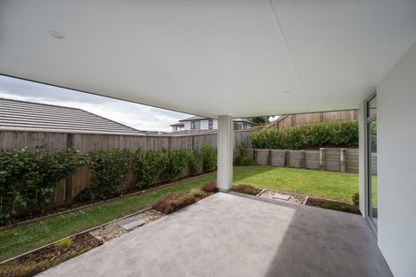 Photo of property in 41 Hart Road, Richmond, 7020