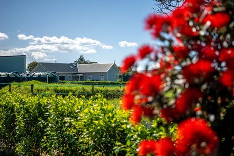Photo of property in 355a Waikaramu Road, Waimate North, Kaikohe, 0472