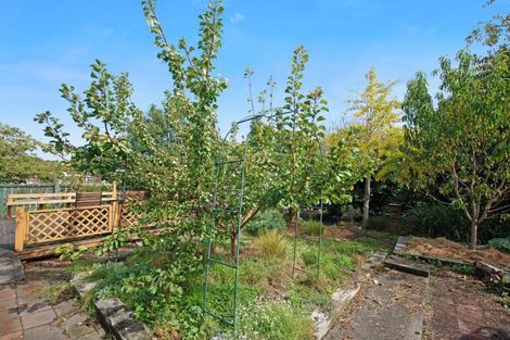 Photo of property in 87 Matai Road, Raumati South, Paraparaumu, 5032