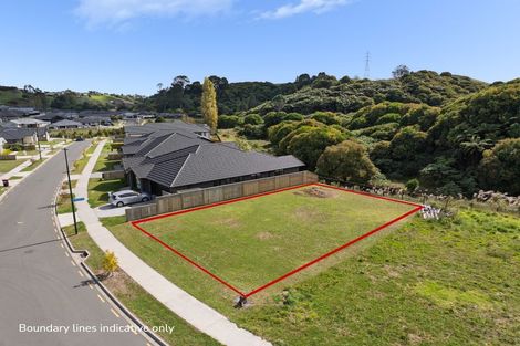 Photo of property in 165 Adler Drive, Ohauiti, Tauranga, 3112