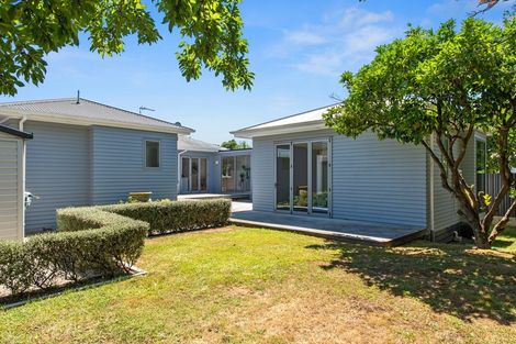 Photo of property in 68 Naylor Street, Hamilton East, Hamilton, 3216