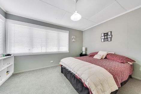 Photo of property in 6 Brecon Road, Stratford, 4332