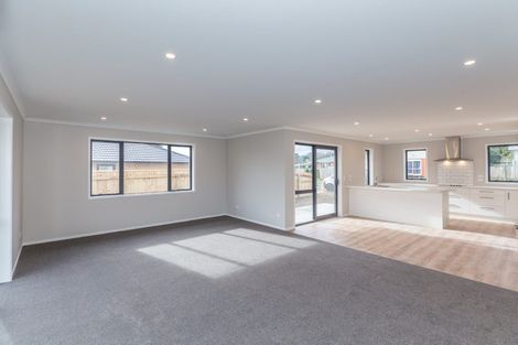 Photo of property in 93 Fairfield Road, Levin, 5510