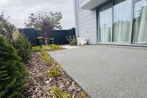 Photo of property in 65 Thackeray Place, Waltham, Christchurch, 8023