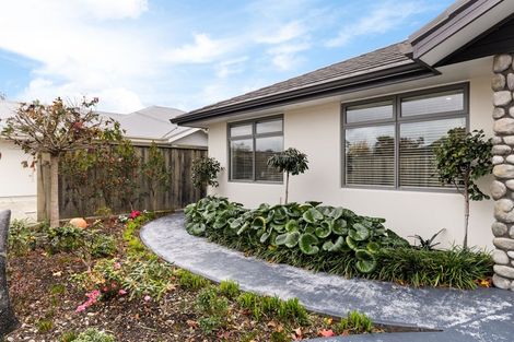 Photo of property in 60c Roy Street, Palmerston North, 4410