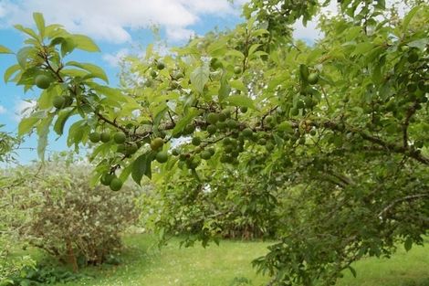 Photo of property in 126 Oneriri Road, Kaiwaka, 0573