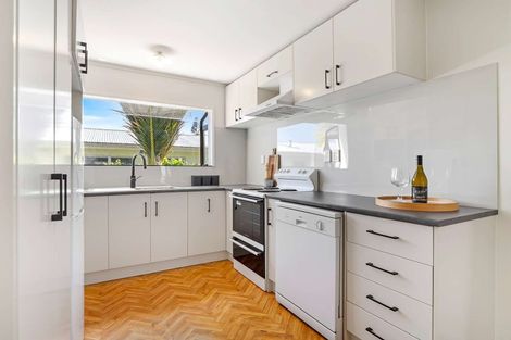 Photo of property in 102 Macfarlane Street, Hamilton East, Hamilton, 3216