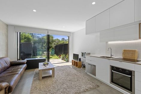 Photo of property in 47 Te Ara O Paetutu, Petone, Lower Hutt, 5012