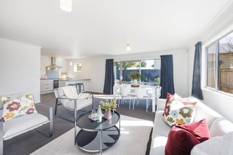 Photo of property in 3a Chamberlain Street, Feilding, 4702