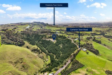 Photo of property in 80 Cameron Town Road, Pukekohe, 2678