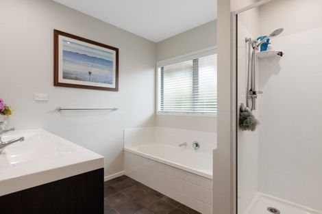 Photo of property in 11 Hazelnut Way, Bellevue, Tauranga, 3110