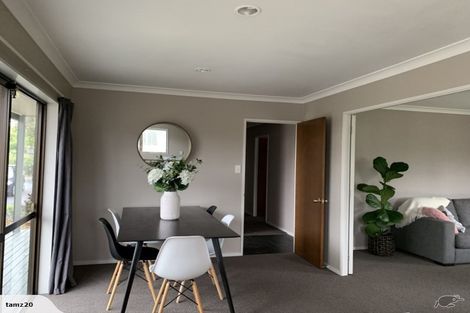 Photo of property in 48 Splitt Avenue, Glenview, Hamilton, 3206