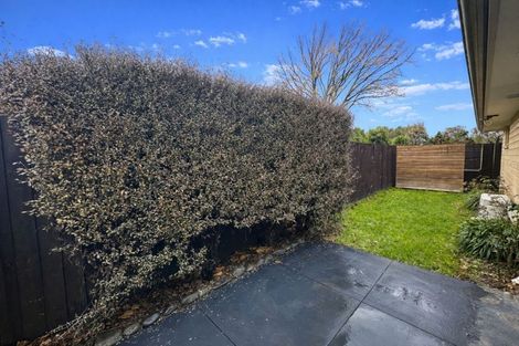 Photo of property in 42 Thackeray Place, Waltham, Christchurch, 8023
