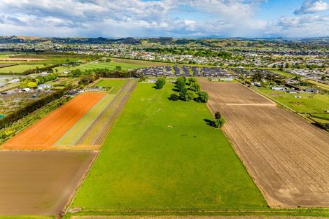 Photo of property in 30 Ulyatt Road, Meeanee, Napier, 4112