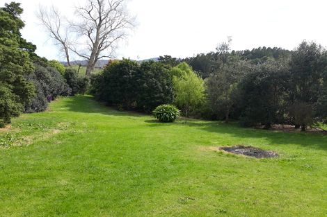 Photo of property in 384 Tara Road, Mangawhai, Kaiwaka, 0573