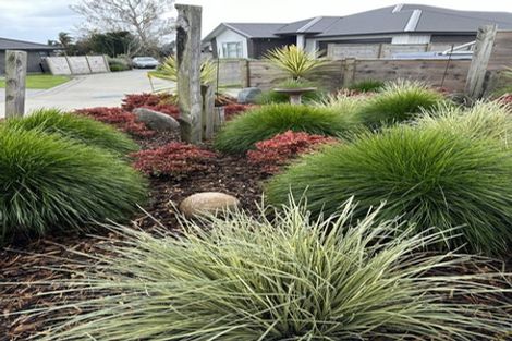 Photo of property in 30 Augusta Rise, Omokoroa, 3114