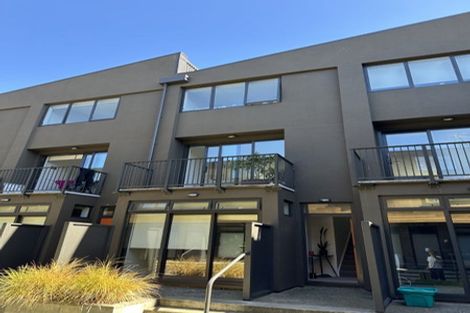 Photo of property in Aniva Terrace, 19 Arney Street, Newtown, Wellington, 6021