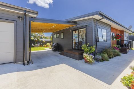 Photo of property in 3 Russell Street, Otane, 4202