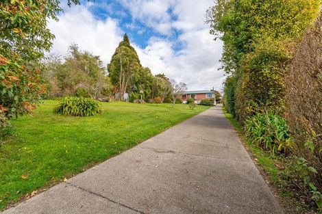 Photo of property in 102 Mountain View Road, Glenwood, Timaru, 7910