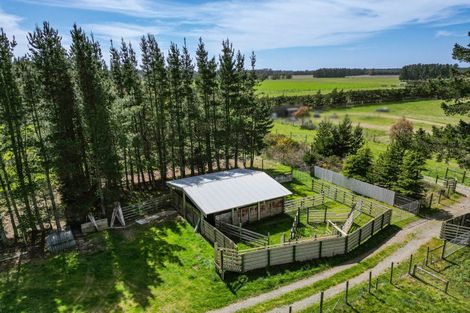 Photo of property in 526 Downs Road, Eyrewell, West Eyreton, 7476