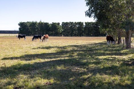 Photo of property in 1070 Grahams Road, Ashton, Ashburton, 7774