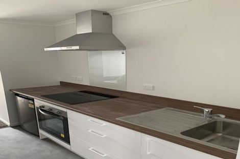 Photo of property in 11u4 Edgecumbe Street, Whitiora, Hamilton, 3200