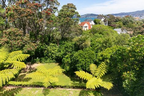 Photo of property in 5 Ryley Street, Owaka, 9535
