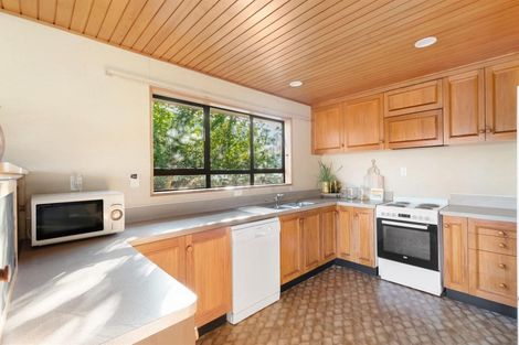 Photo of property in 64 Mcdougall Street, Wanaka, 9305