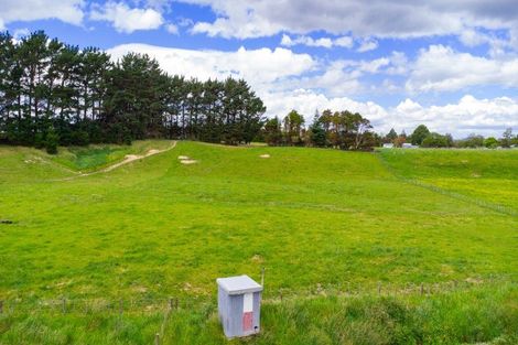 Photo of property in 29 Ruahine Street, Dannevirke, 4930