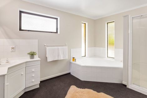 Photo of property in 209b Douglas Street, Highfield, Timaru, 7910