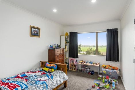 Photo of property in 91 Buckley Road, Shannon, Palmerston North, 4474