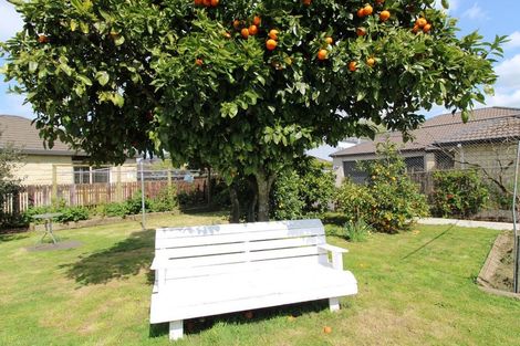 Photo of property in 11 Miro Street, Matamata, 3400