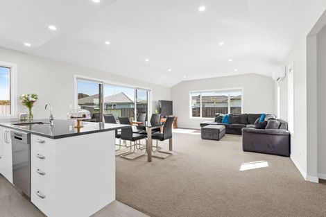 Photo of property in 93 Belgrove Drive, Waipukurau, 4200