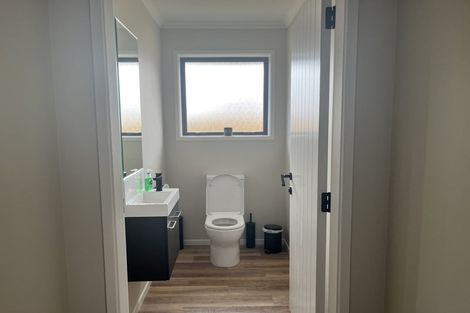 Photo of property in 77b Fairfield Road, Levin, 5510