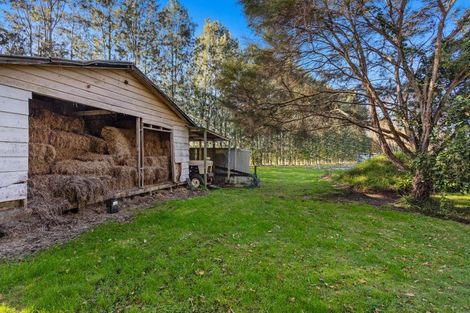 Photo of property in 1165 Braemar Road, Rotoma, Whakatane, 3192