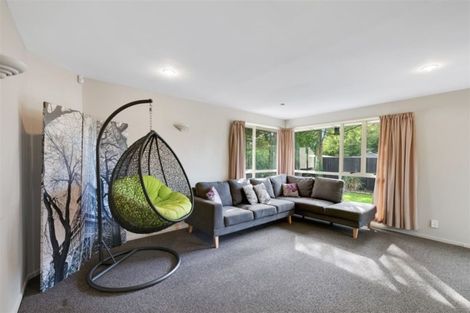 Photo of property in 133 Rose Street, Somerfield, Christchurch, 8024
