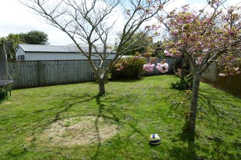Photo of property in 21 Peppertree Glade, Kelvin Grove, Palmerston North, 4414
