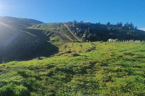 Photo of property in 964 Puketitiri Road, Puketapu, Napier, 4182